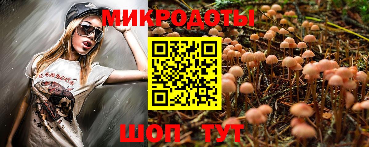 Баксан  Галлюциногенные грибы Psilocybine cubensis  Вход с VPN  Псилоцибиновые грибы мицелий 